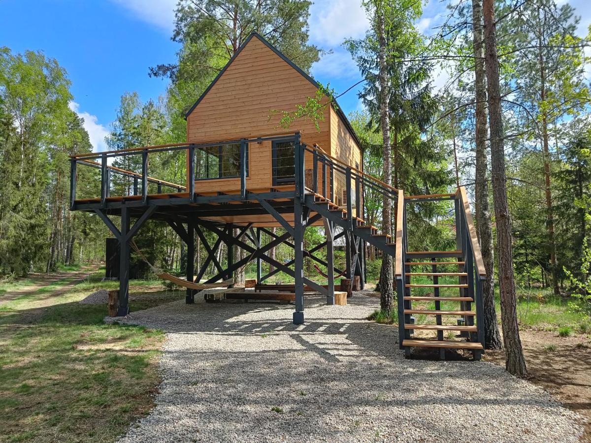 Zdalnie Z Lasu - Siedlisko W Puszczy Bialowieskiej Narewka Bagian luar foto