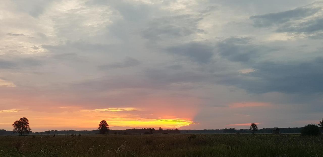 Zdalnie Z Lasu - Siedlisko W Puszczy Bialowieskiej Narewka Bagian luar foto