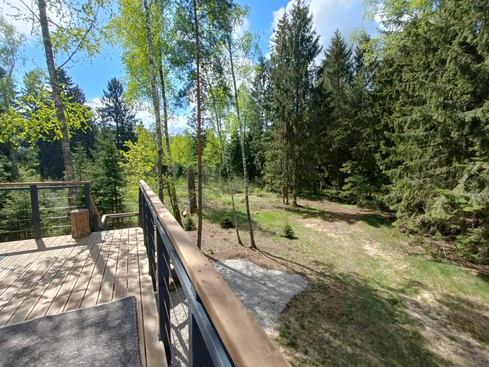 Zdalnie Z Lasu - Siedlisko W Puszczy Bialowieskiej Narewka Bagian luar foto
