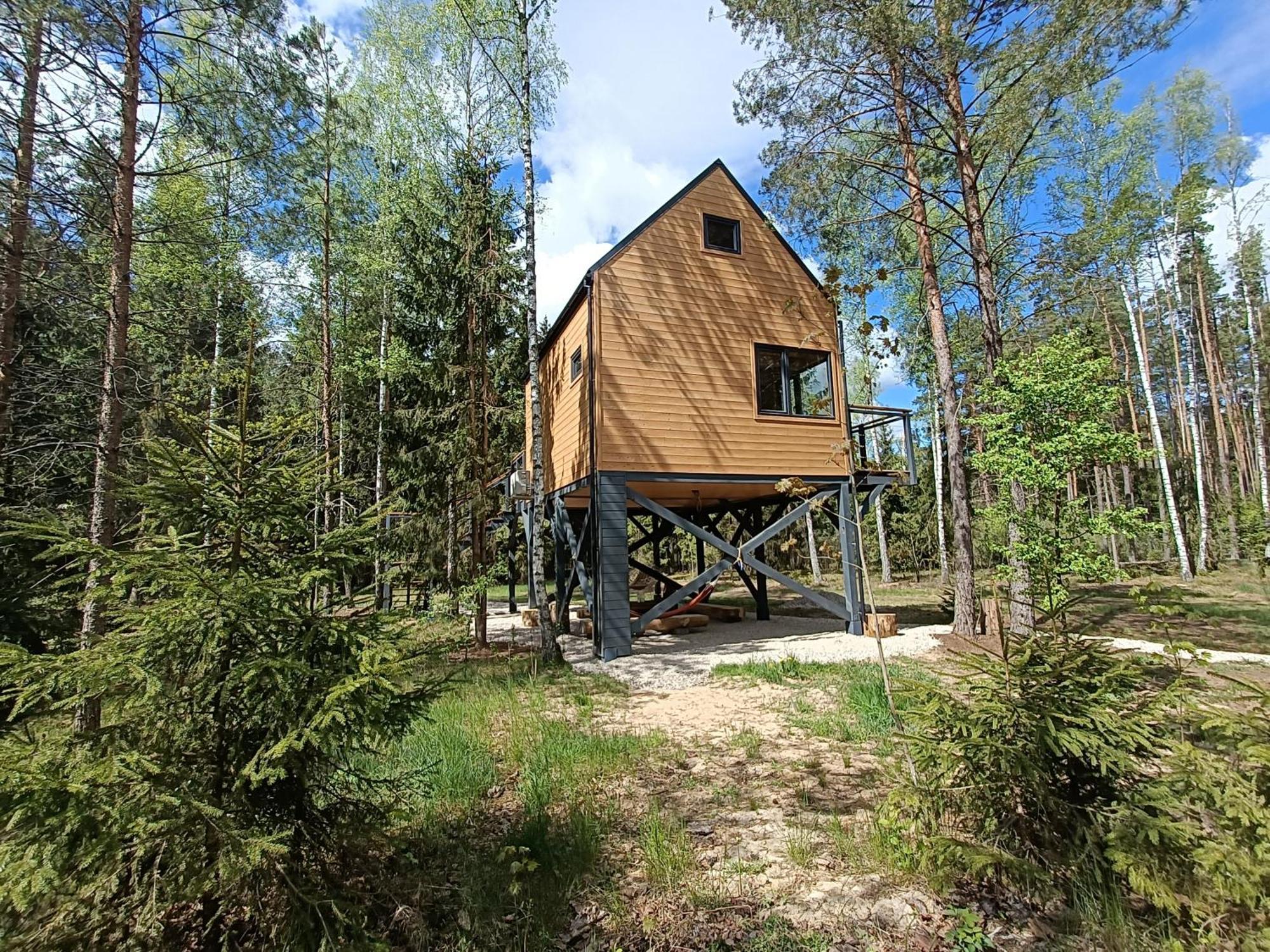 Zdalnie Z Lasu - Siedlisko W Puszczy Bialowieskiej Narewka Bagian luar foto