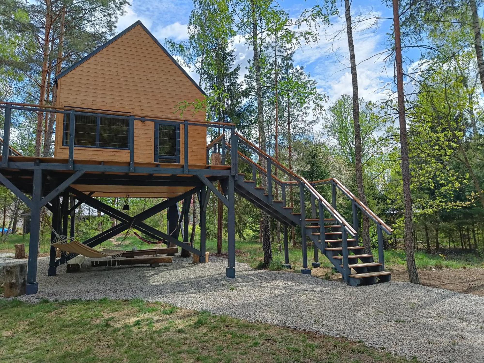 Zdalnie Z Lasu - Siedlisko W Puszczy Bialowieskiej Narewka Bagian luar foto
