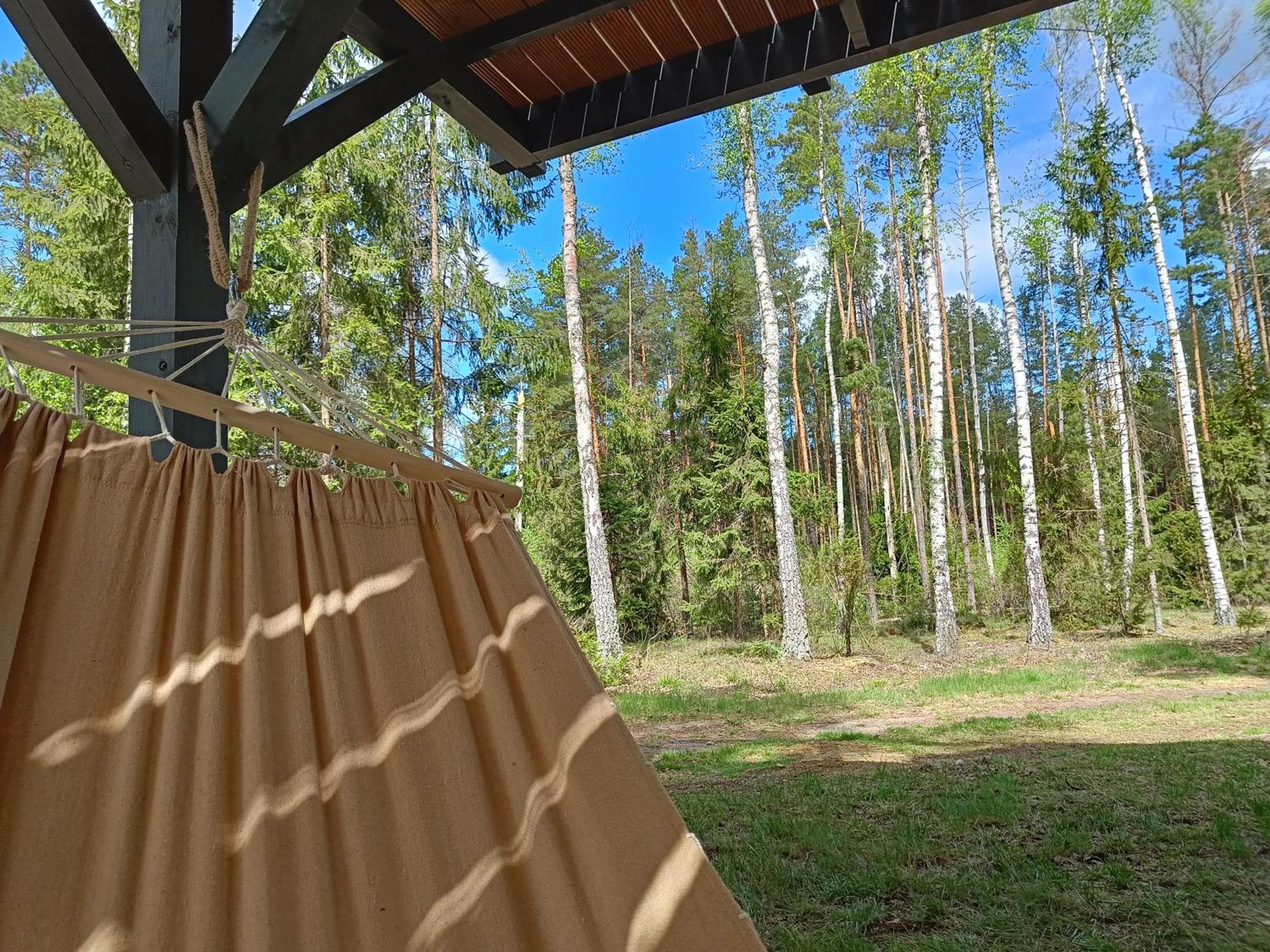 Zdalnie Z Lasu - Siedlisko W Puszczy Bialowieskiej Narewka Bagian luar foto